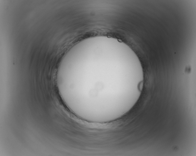 X0000111620034200907171115