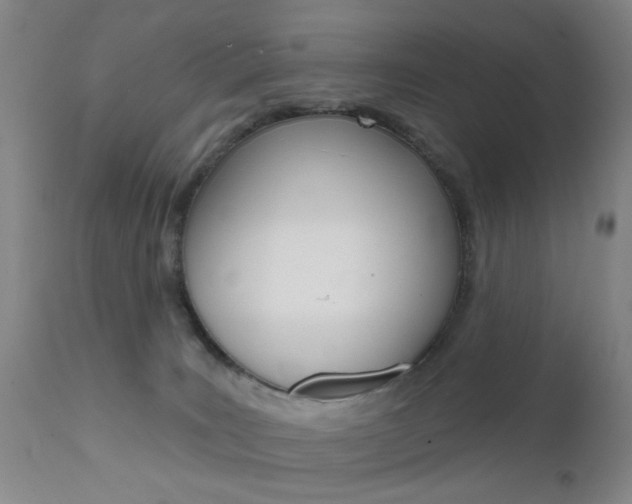 X0000111620035200907171115