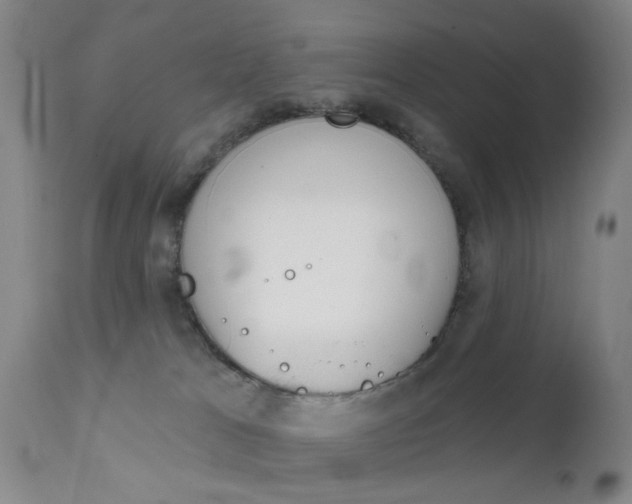 X0000111620037200907171115