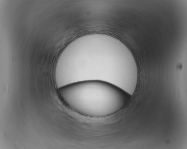 X0000111620039200907171115