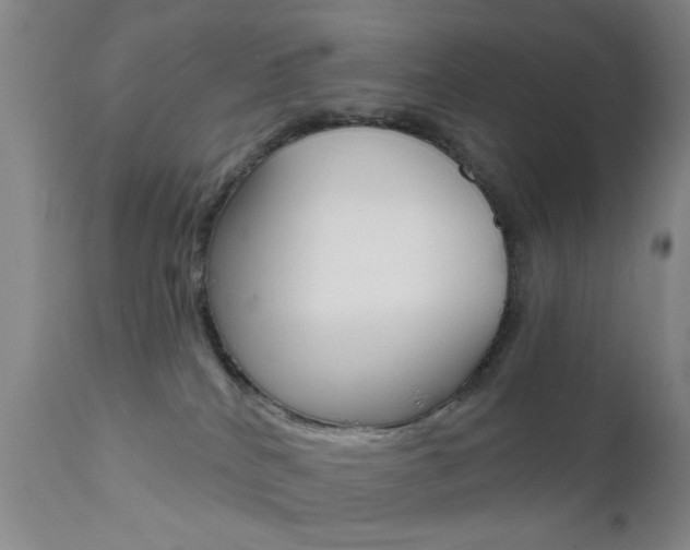 X0000111620040200907171115