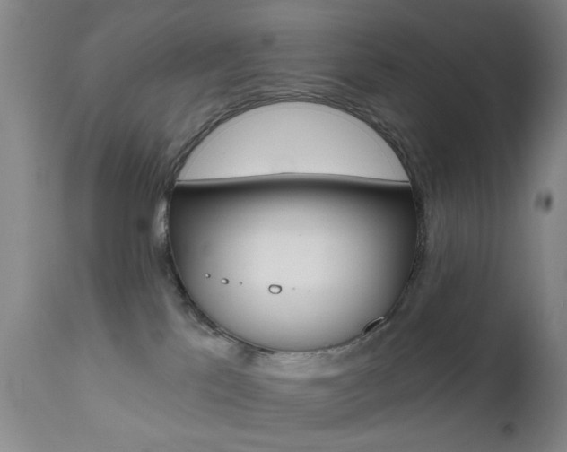 X0000111620041200907171115