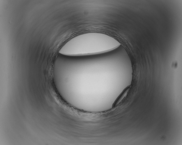 X0000111620044200907171115