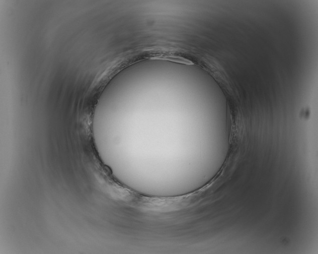 X0000111620045200907171115