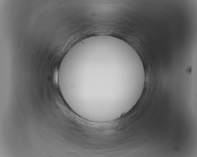 X0000111620046200907171115