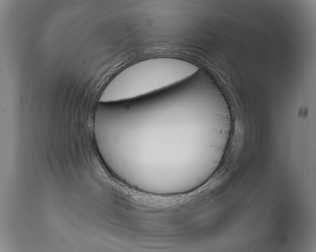 X0000111620048200907171115