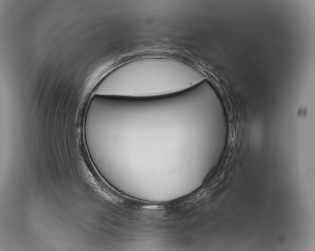 X0000111620053200907171114