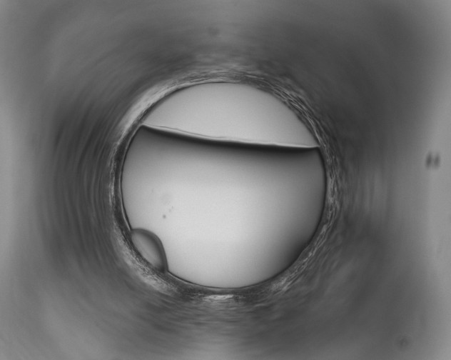 X0000111620054200907171115