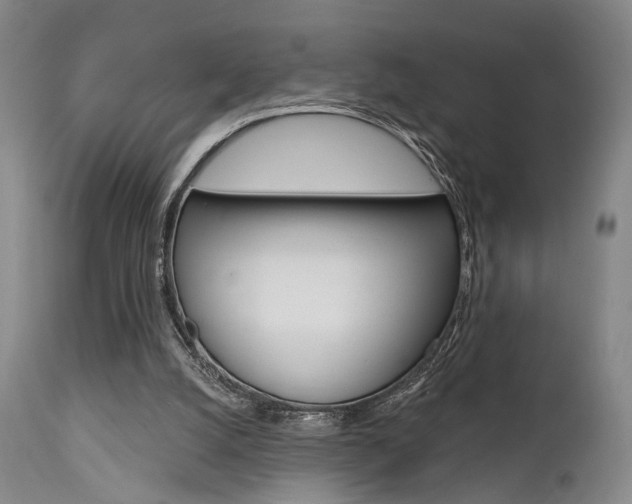 X0000111620056200907171115