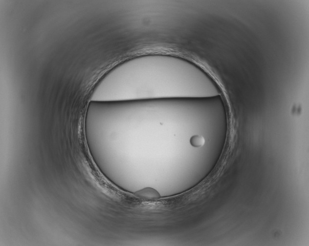 X0000111620057200907171115