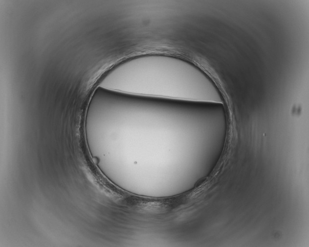 X0000111620058200907171115