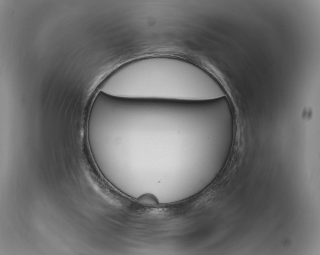 X0000111620059200907171115