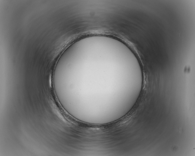 X0000111620061200907171115