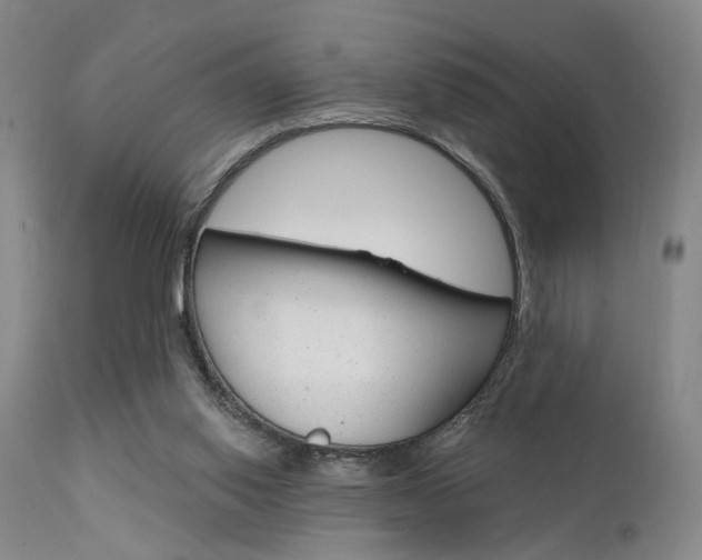 X0000111620062200907171115