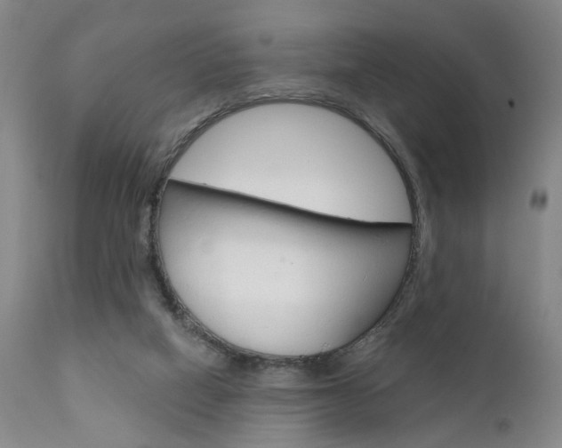 X0000111620066200907171115