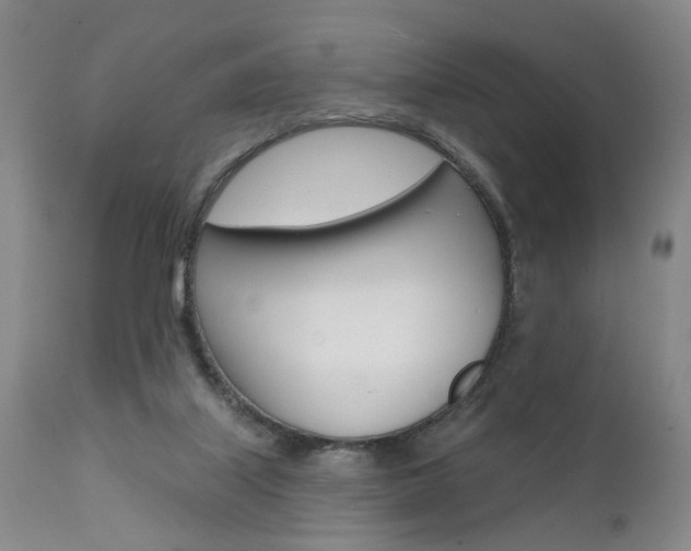 X0000111620067200907171115