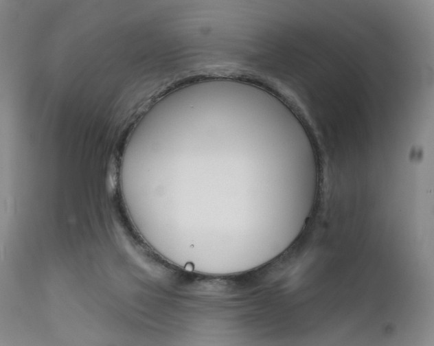 X0000111620069200907171115