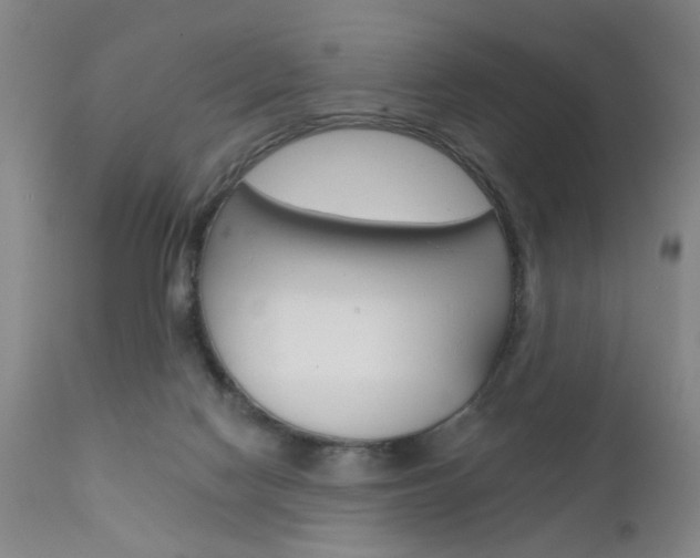 X0000111620074200907171115