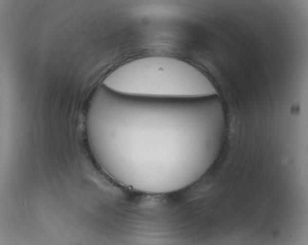 X0000111620077200907171115