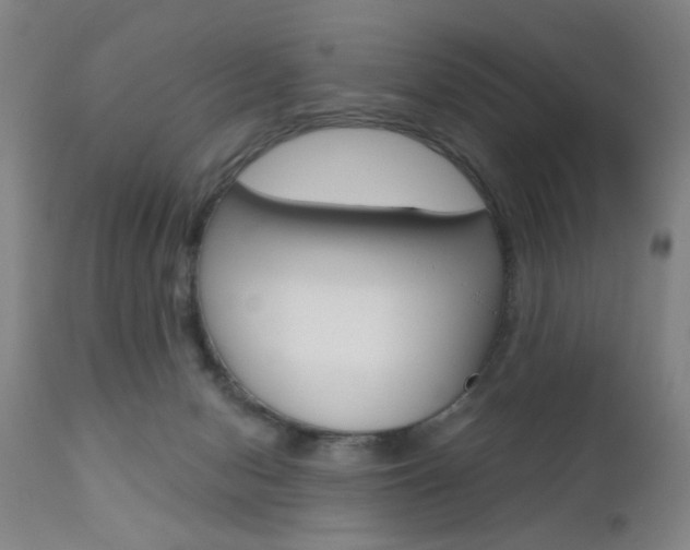 X0000111620078200907171115