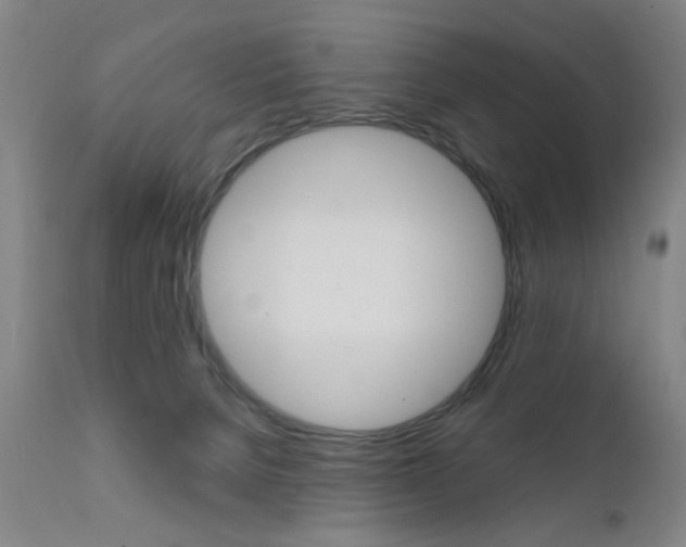 X0000111620080200907171115