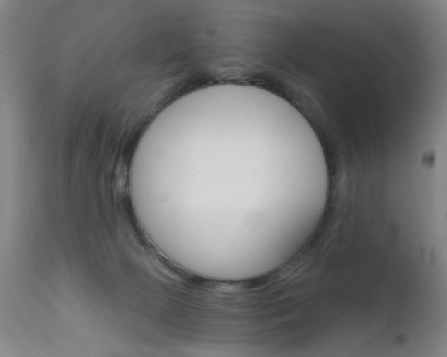 X0000111620081200907171115