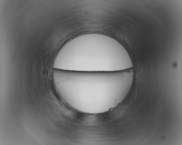 X0000111620083200907171115