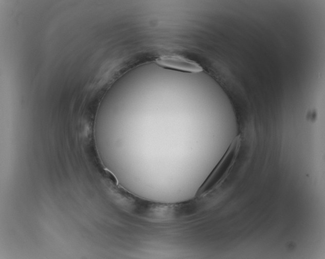 X0000111620084200907171115