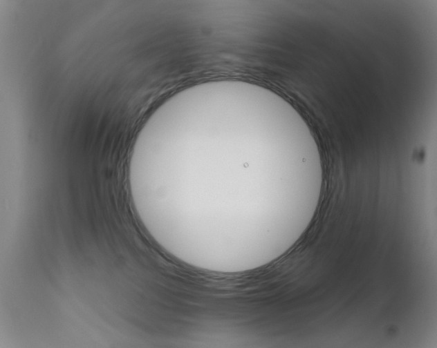 X0000111620088200907171115