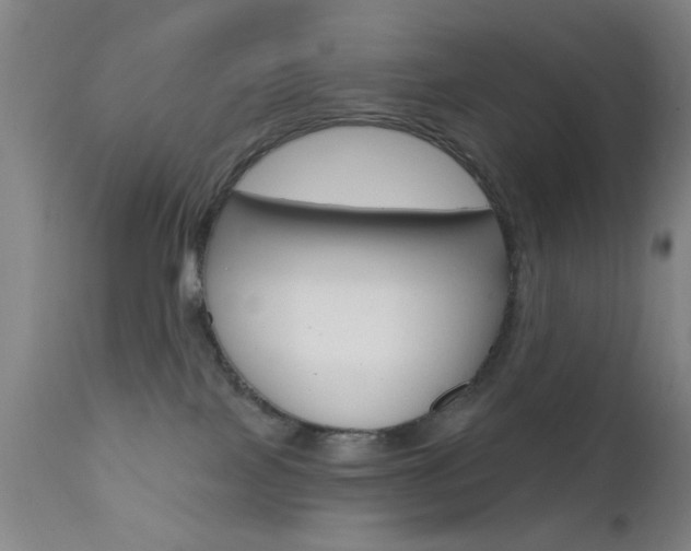 X0000111620089200907171115