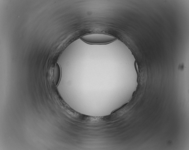 X0000111620093200907171115