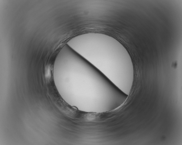 X0000111620094200907171115