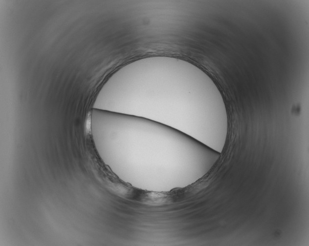 X0000111620095200907171115