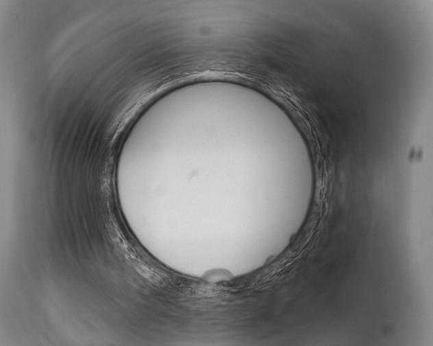 X0000111620098200907171114