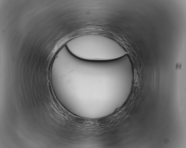 X0000111620099200907171114