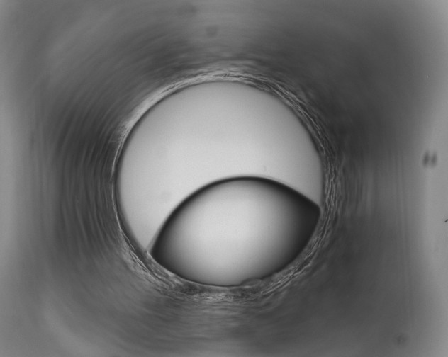X0000111620100200907171114