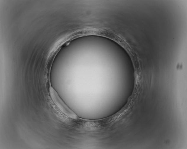 X0000111620101200907171114
