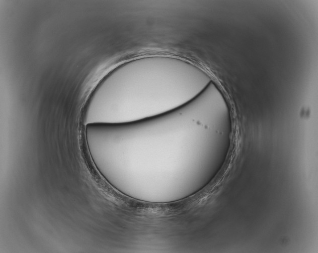 X0000111620103200907171114