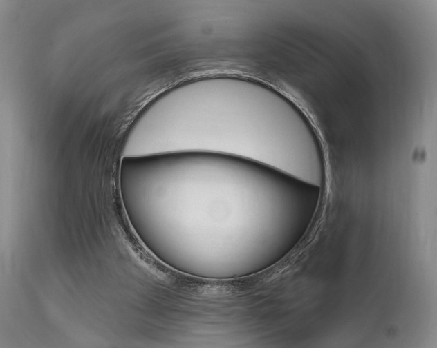 X0000111620105200907171114