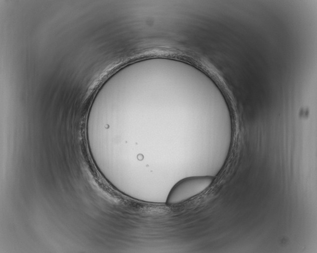 X0000111620106200907171114