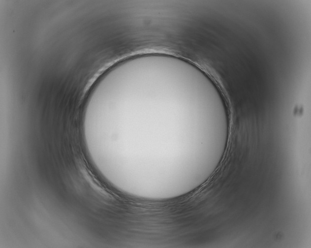 X0000111620108200907171114