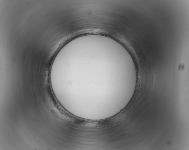 X0000111620110200907171114