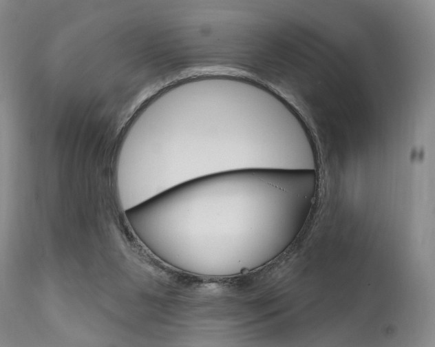 X0000111620111200907171114