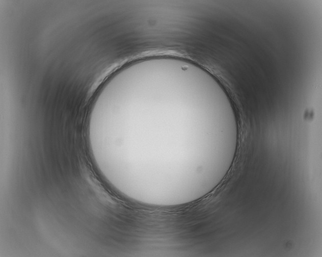 X0000111620112200907171114
