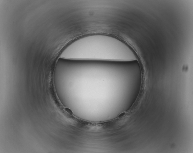 X0000111620113200907171114