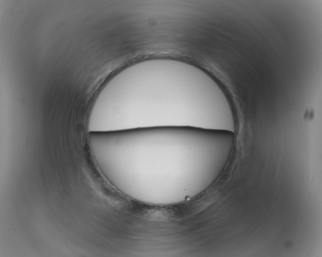 X0000111620115200907171114