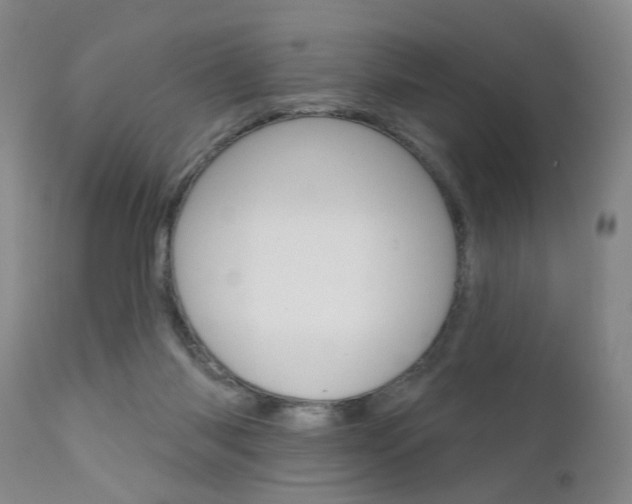 X0000111620118200907171114