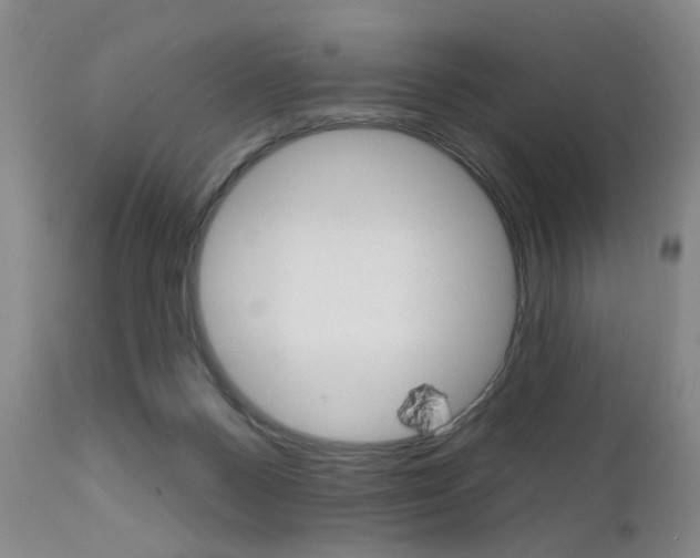 X0000111620120200907171114