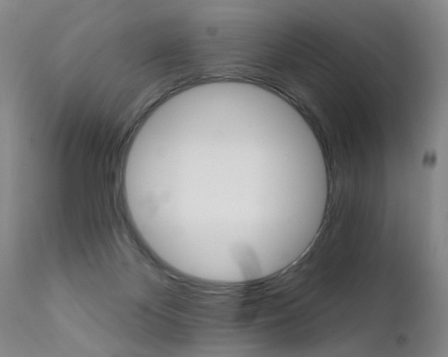 X0000111620124200907171114