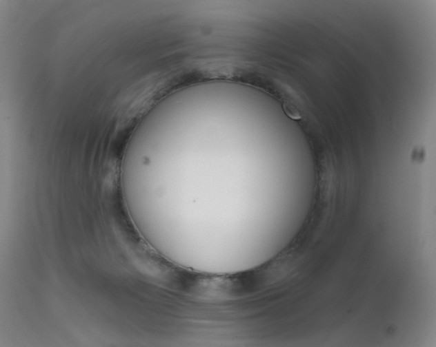 X0000111620125200907171114